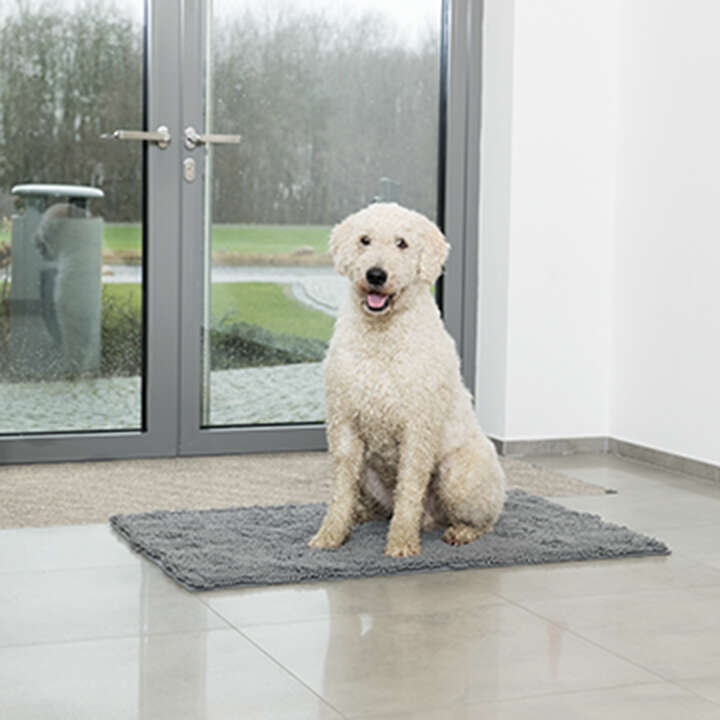 Hund steht auf schmutzfangmatte